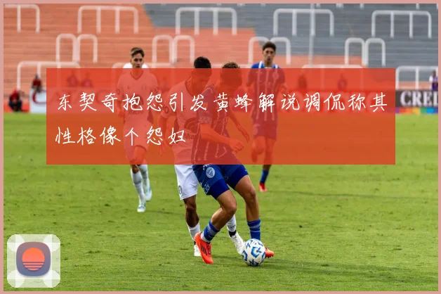 东契奇抱怨引发黄蜂解说调侃称其性格像个怨妇