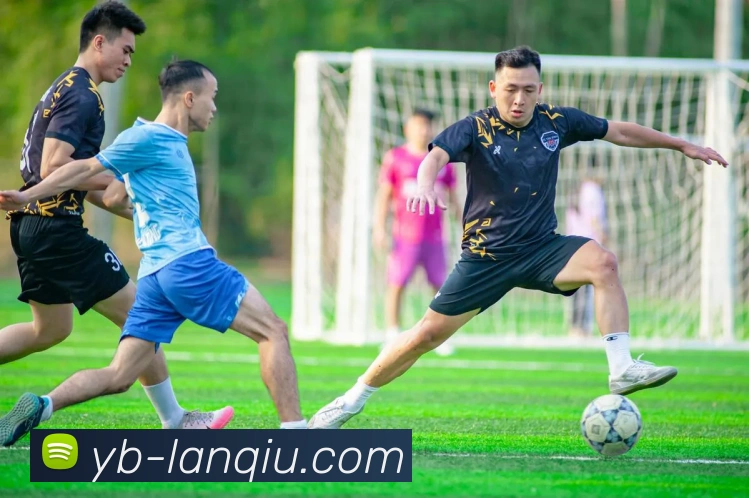 多媒体互动体验