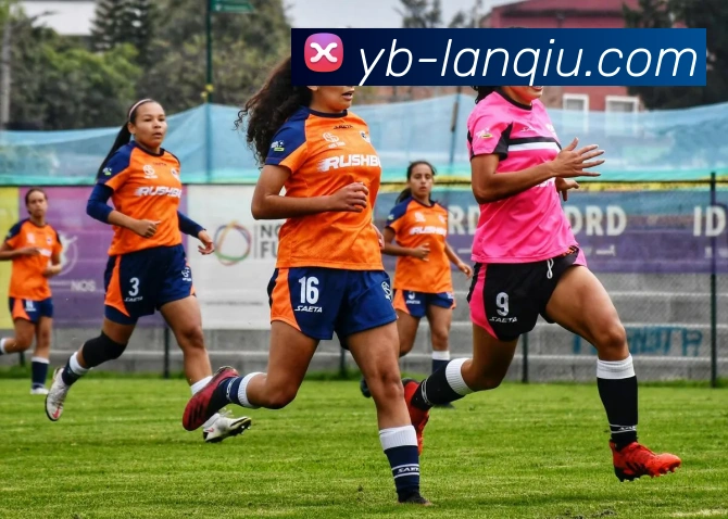 篮球赌注APP 高清赛事图